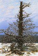 Caspar David Friedrich, Oak Tree in the Snow (mk10)